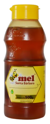 Mel Puro Santa Bárbara - 500g