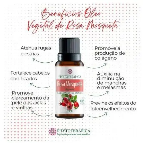 Óleo Vegetal Phytoterápica Rosa Mosqueta 10ml