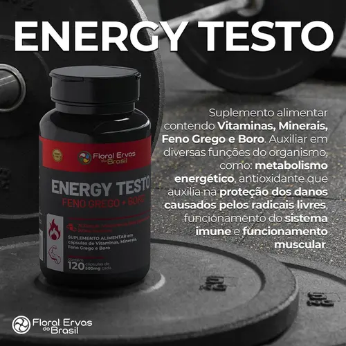 Suplemento Energy Testo 500mg 60 Cáspulas
